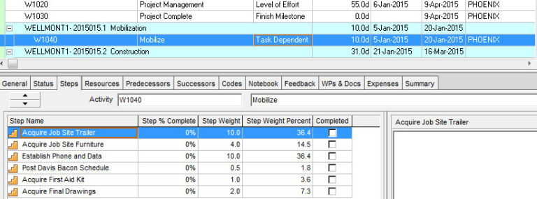 Primavera P6 Activity Steps