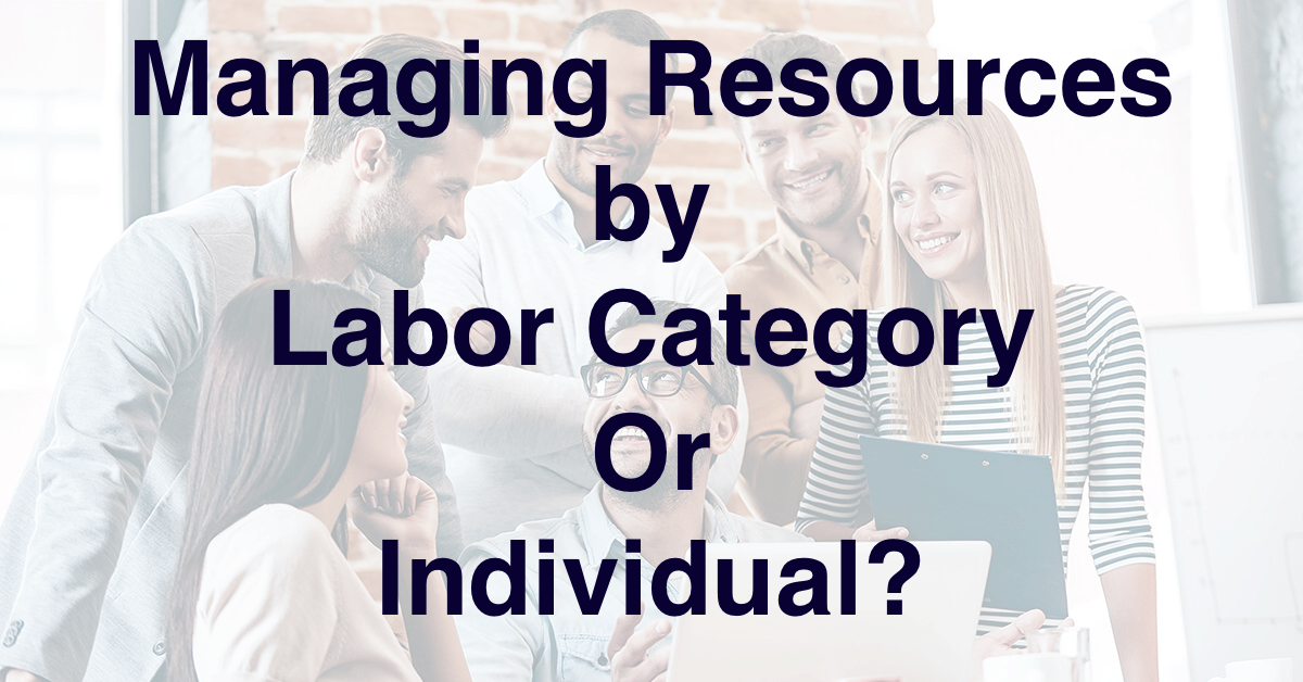Resources by Labor Category Or Individual