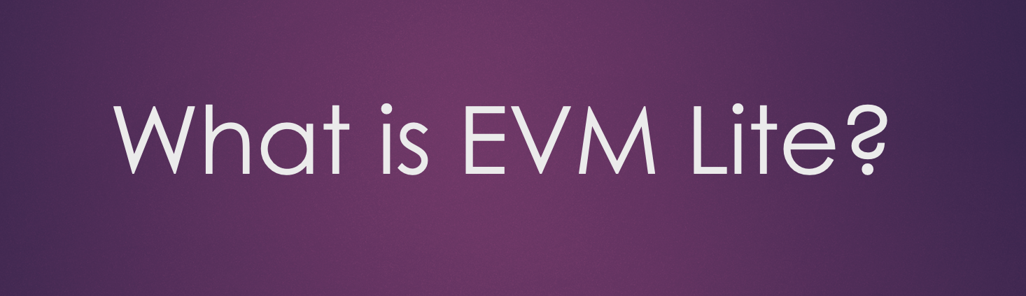 What is EVM Lite