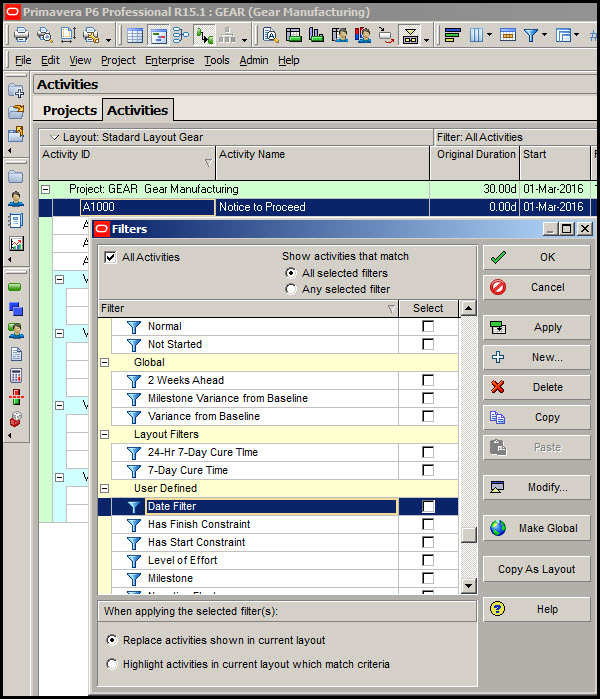 Organizing Filters by Project Layouts in Primavera P6 Professional