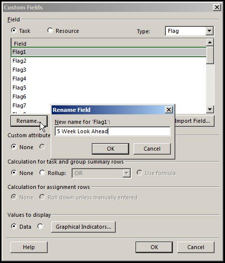 Microsoft Project Look Ahead Filter Fig 3