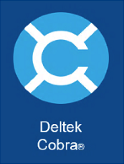 Deltek Cobra 8