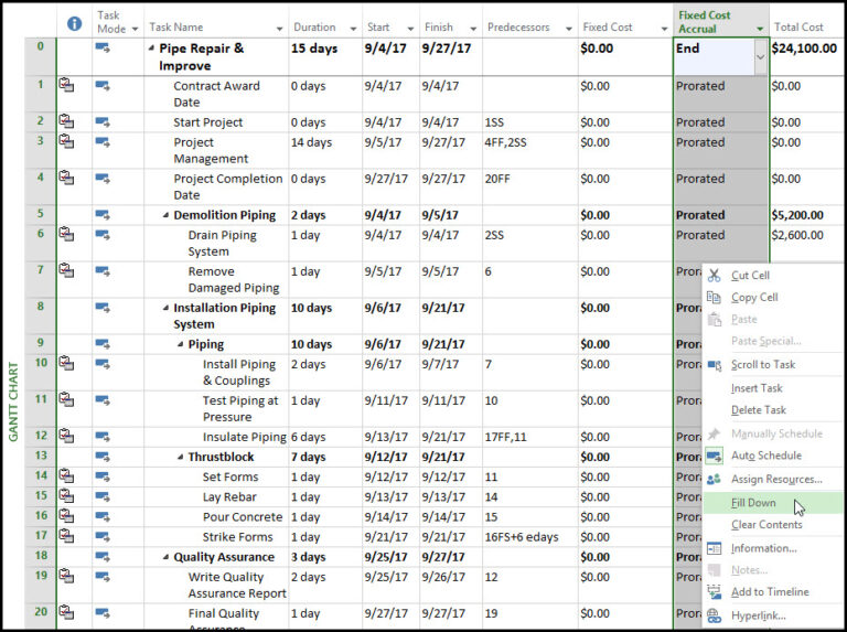Microsoft Project and Fixed Price Task Costs