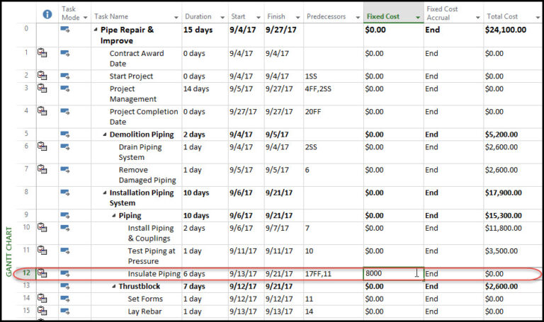 Microsoft Project and Fixed Price Task Costs