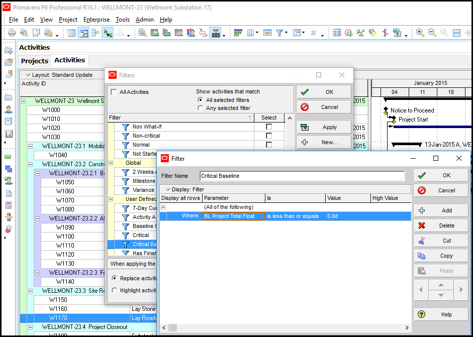 Primavera P6 Professional and P6 Critical Baseline