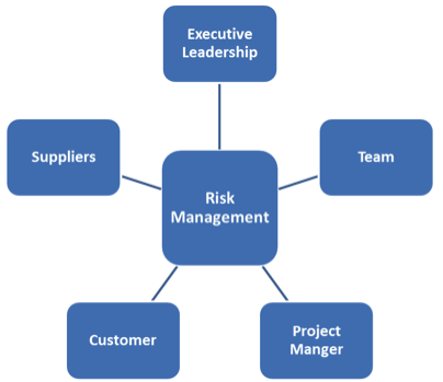 Main elements of risk management and the role of the risk manager