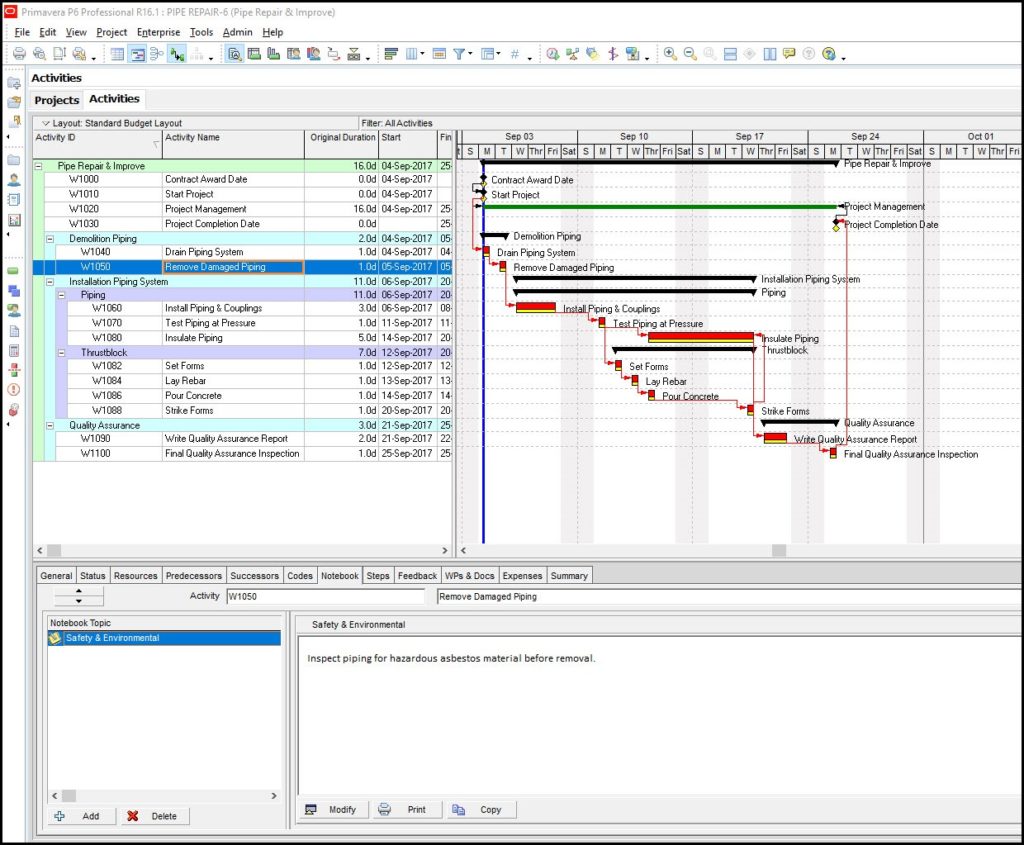 Primavera P6 Notebook Topics Explained