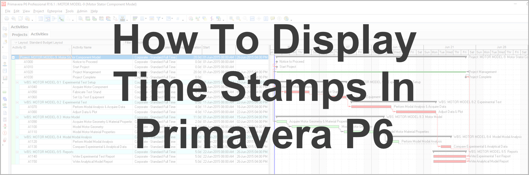 How To Display Time Stamps In Primavera P6