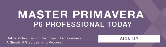 Primavera P6 Professional Online Video Training