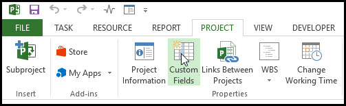 Creating a Risk Register in Microsoft Project Fig 2