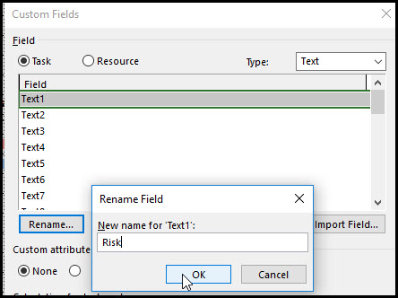 Creating a Risk Register in Microsoft Project Fig 3