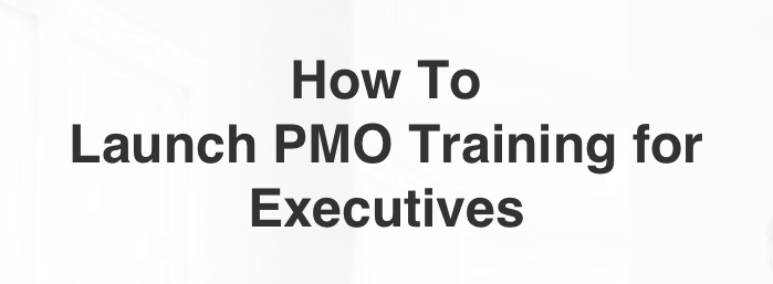 How To Launch PMO Training for Executives