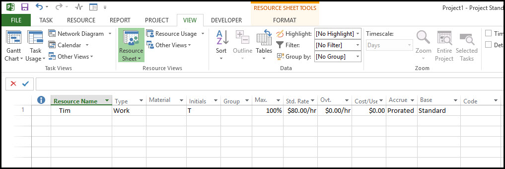 Microsoft Project Multiple Pay Rates