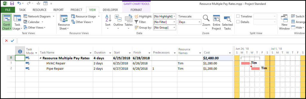 Using Microsoft Project Multiple Pay Rates