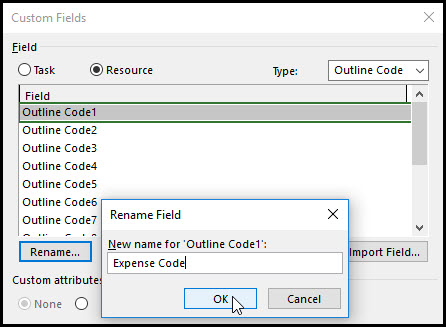 The Benefits of Using Outline Codes in Microsoft Project Fig 5