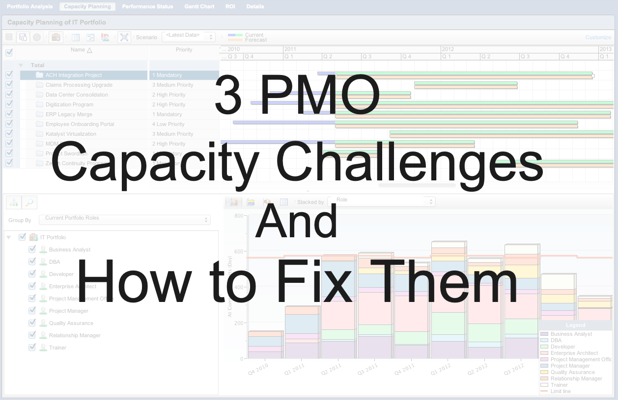 PMO capacity and capability