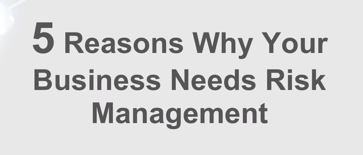 5 Reasons Why Your Business Needs Risk Management