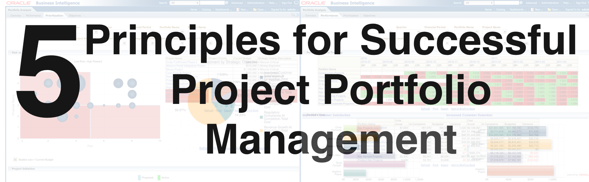 Successful Project Portfolio Management
