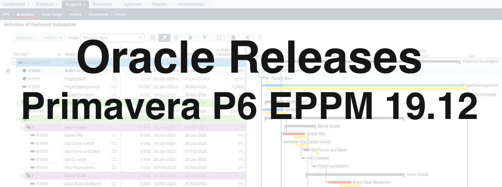 Oracle Releases Primavera P6 EPPM 19.12