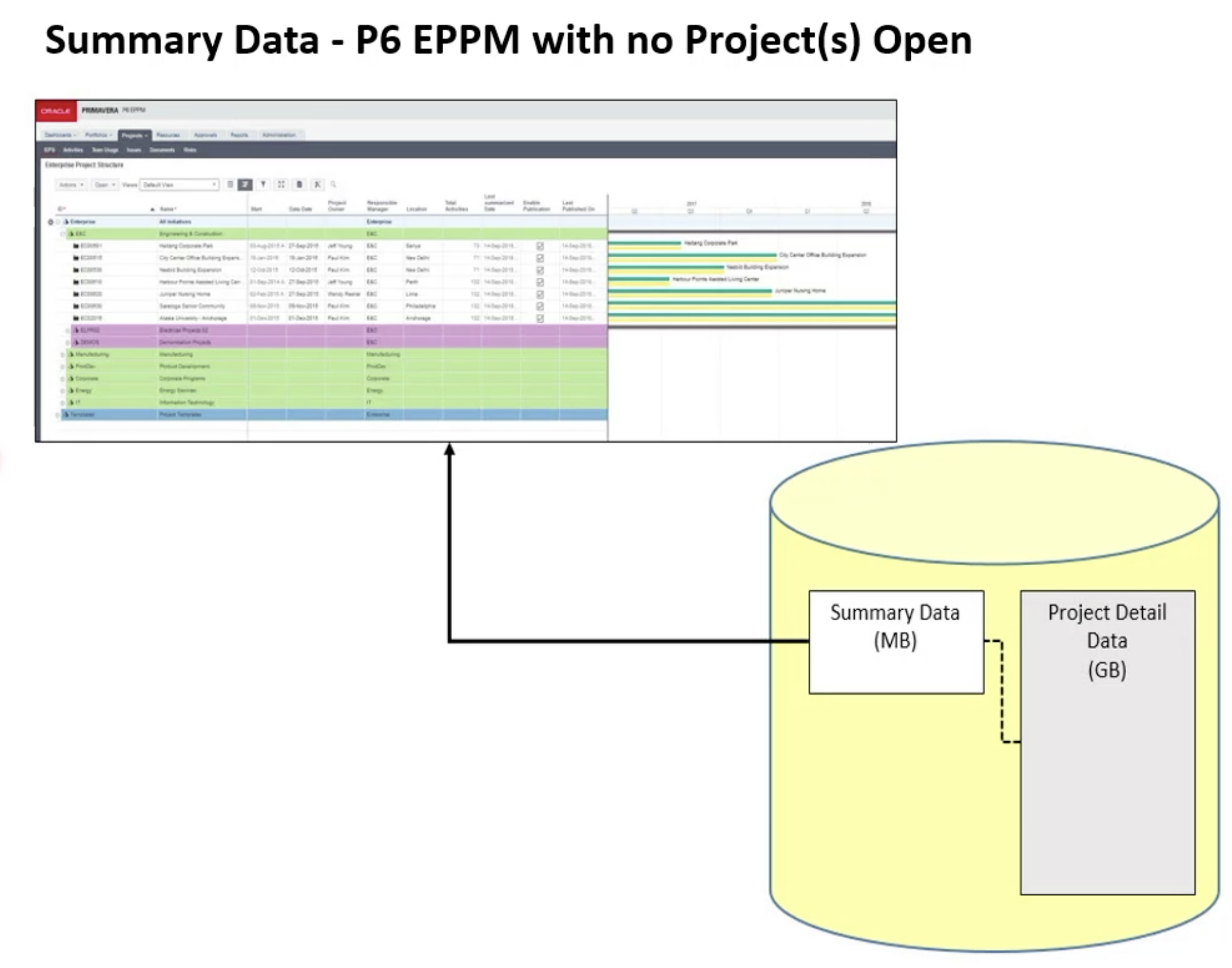 Primavera P6 EPPM Summary Data