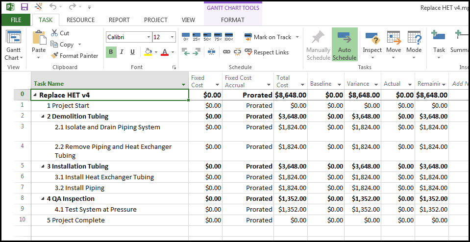Microsoft Project Expenses