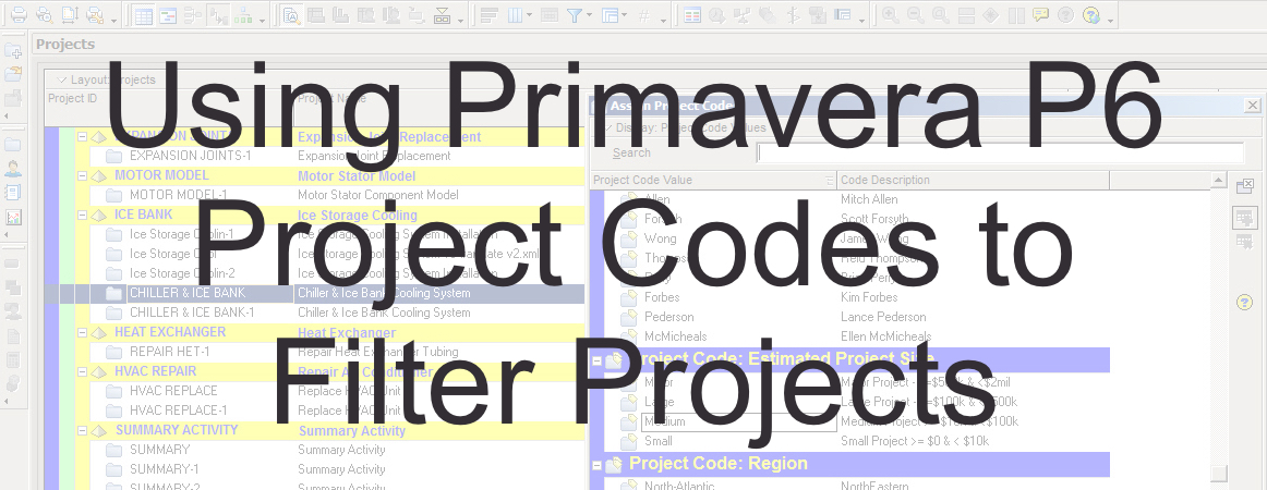 Primavera P6 Project Codes to Filter Projects