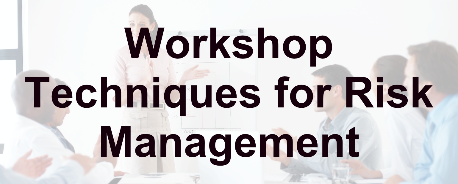 Workshop Techniques for Risk Management