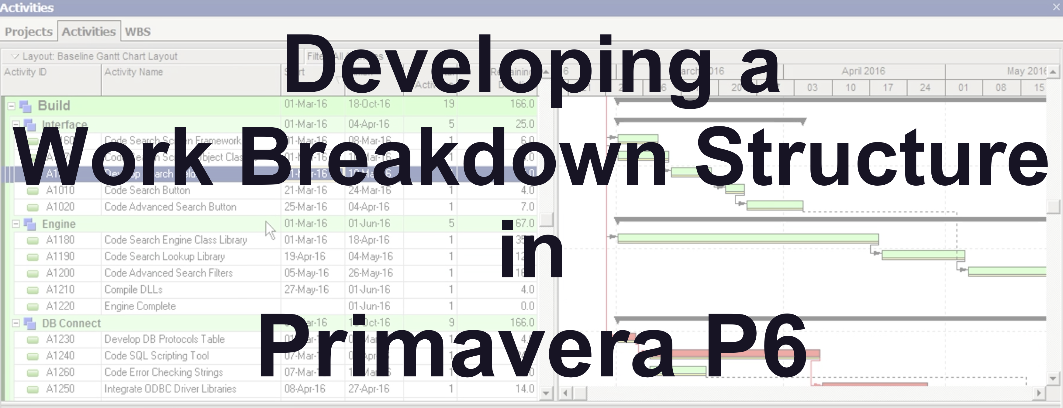 Developing a Work Breakdown Structure in Primavera P6