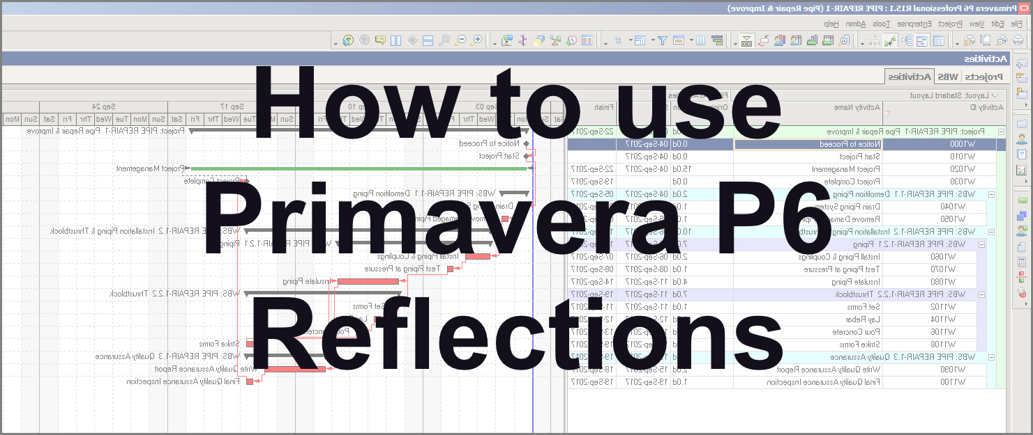 How to use Primavera P6 Reflections