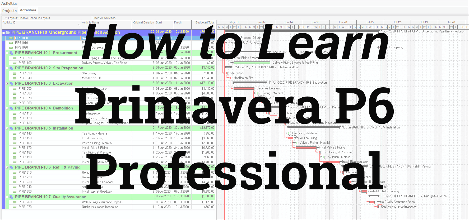 How to Learn Primavera P6 Professional