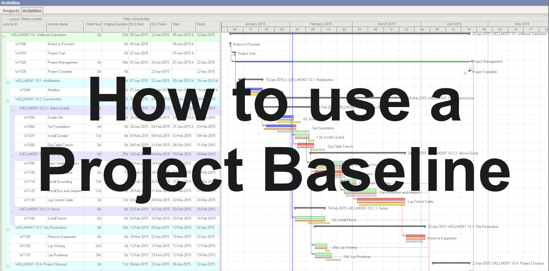 How to use a Project Baseline