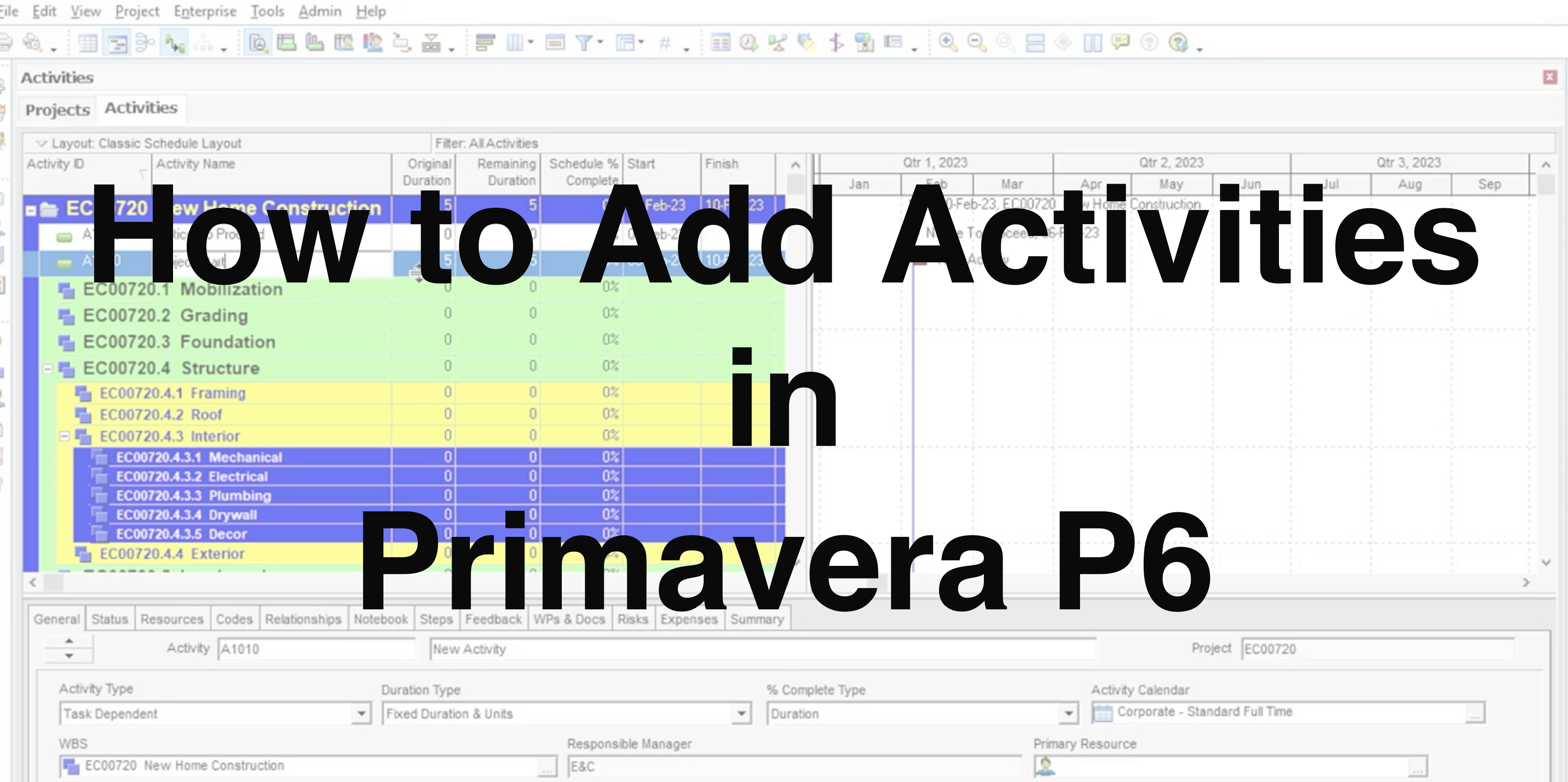 How to Add Activities in Primavera P6