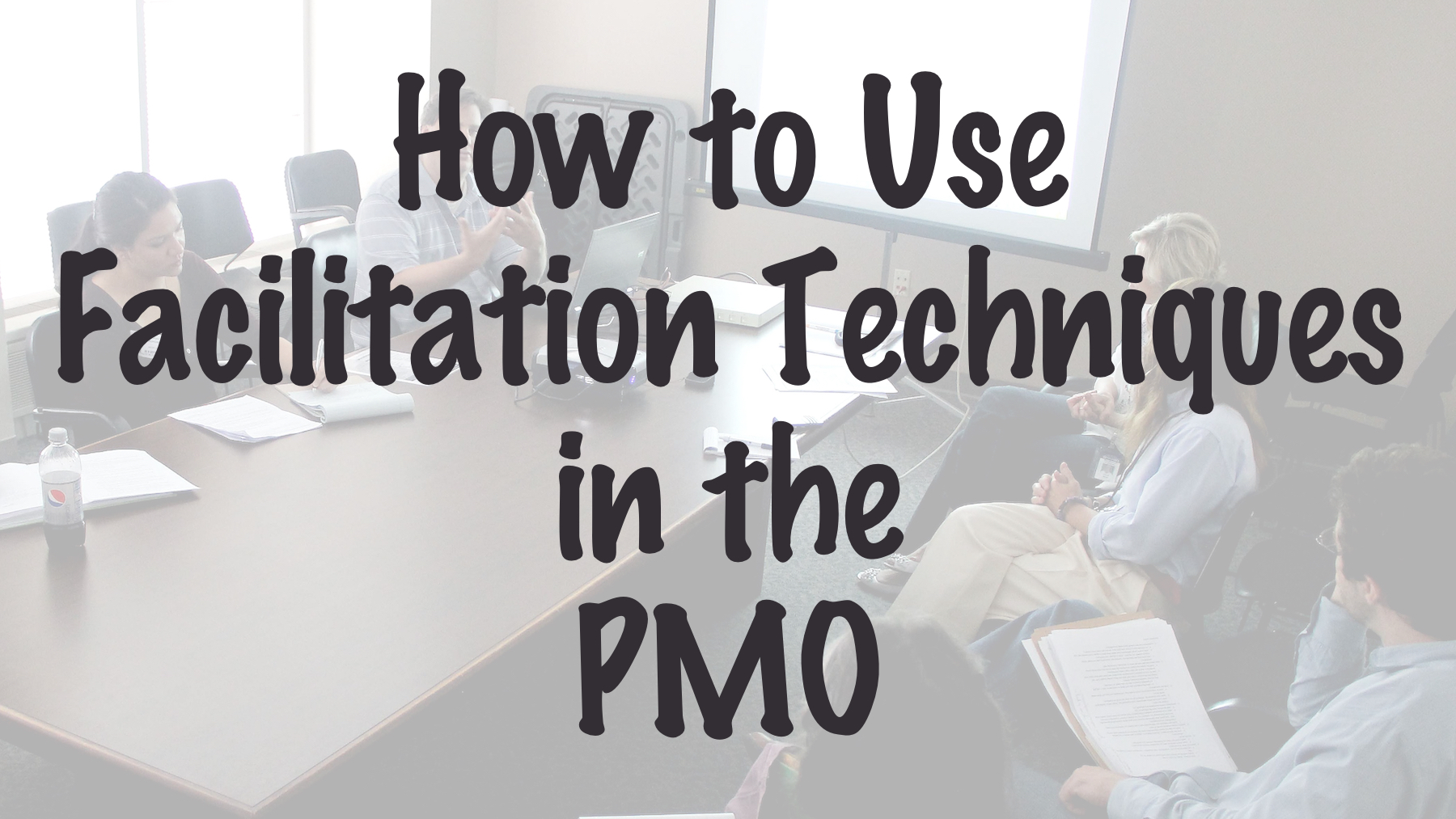 Use Facilitation Techniques in the PMO 