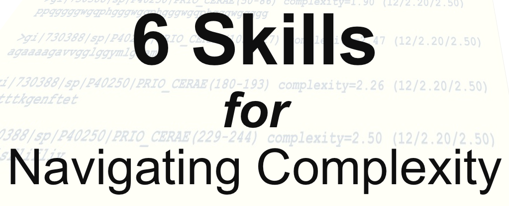 6 Skills for Navigating Complexity