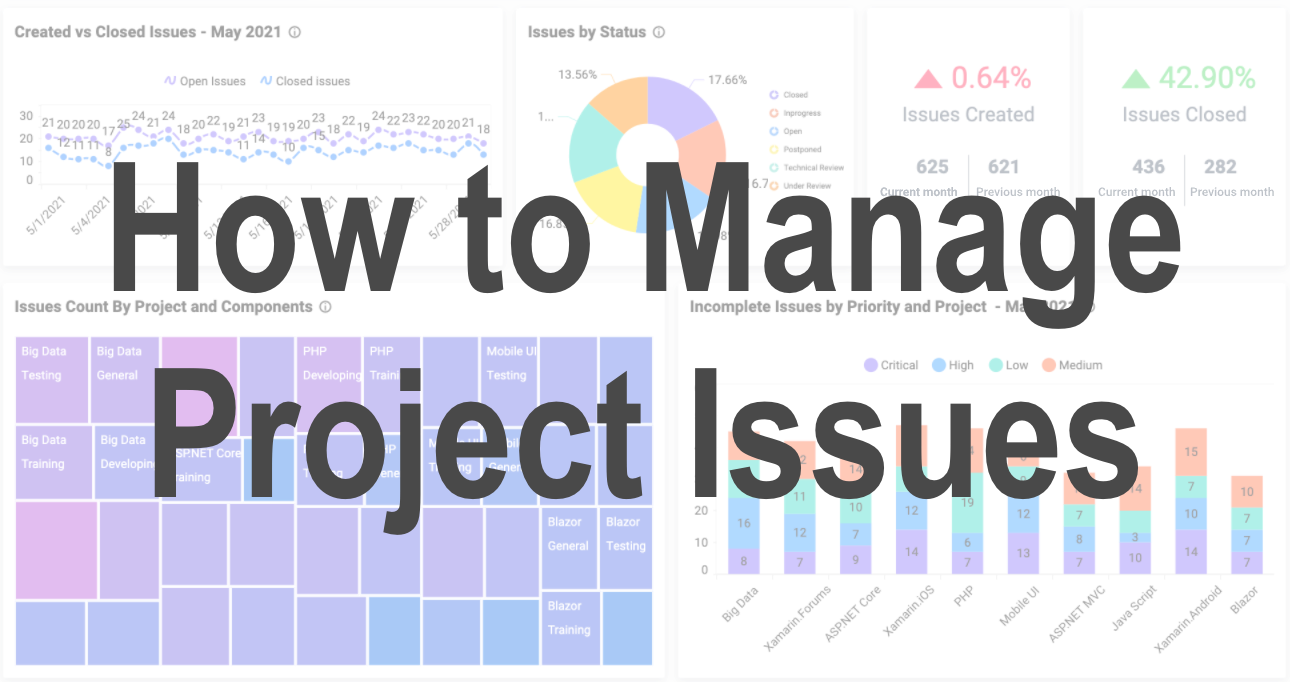 Manage Project Issues
