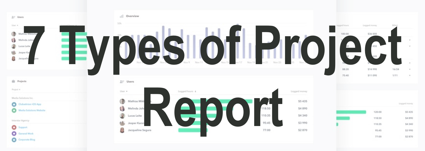 Types of Project Report