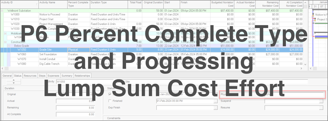 P6 Percent Complete Type and Progressing Lump Sum Cost