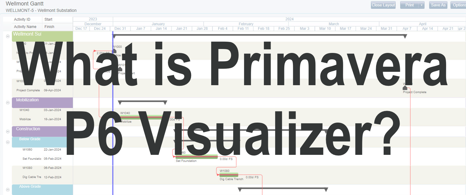 What is Primavera P6 Visualizer