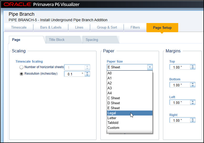 P6 Visualizer Page Setup