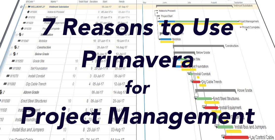 Use Primavera for Project Management