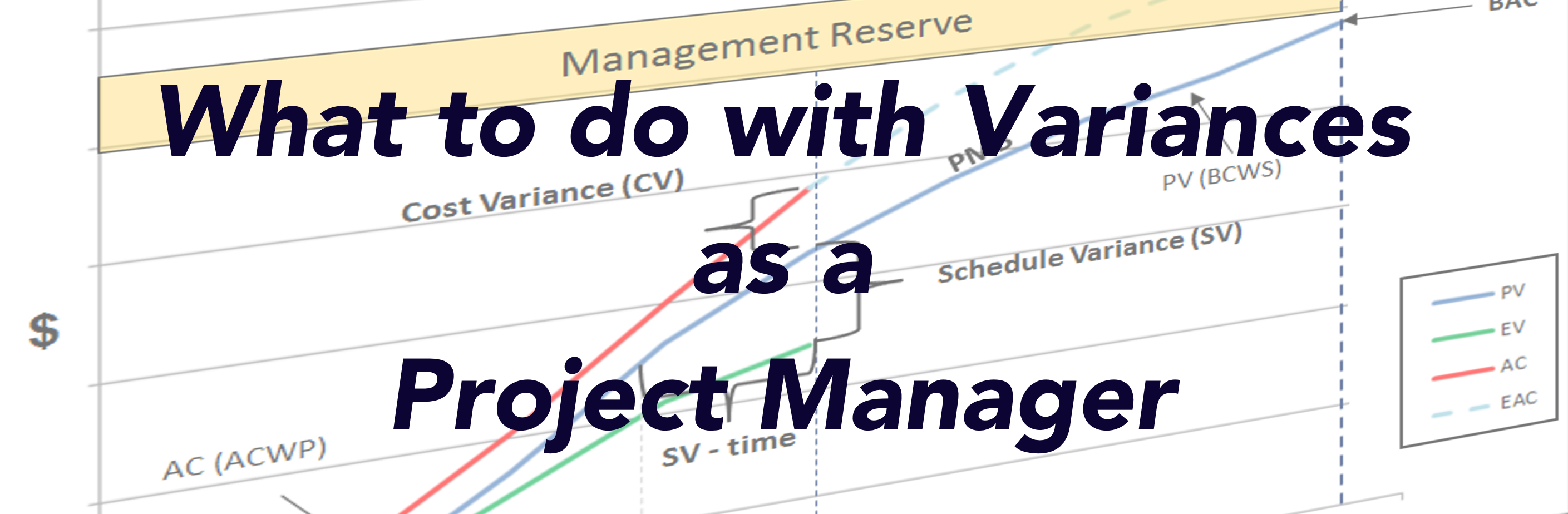 Variances as a Project Manager