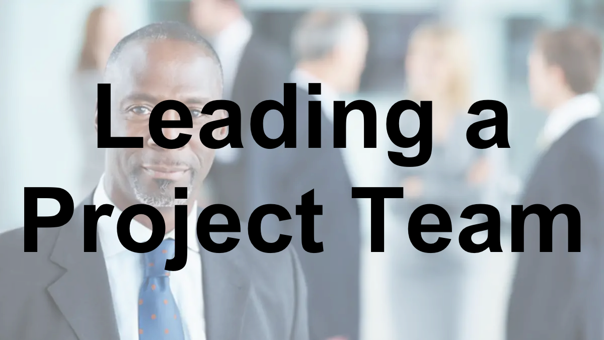 Leading a Project Team