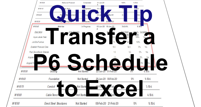 Transfer a P6 Schedule to Excel