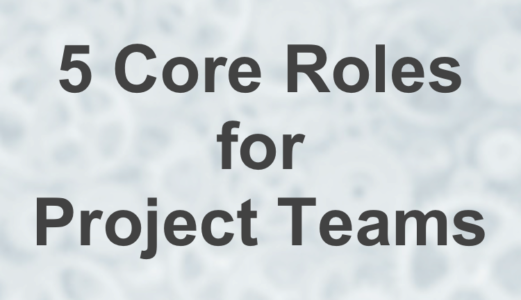 Core Roles for Project Teams