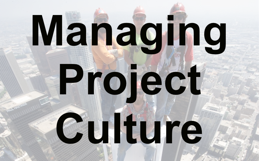 Managing Project Culture