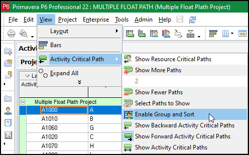 Enable Group and Sort In Primavera P6