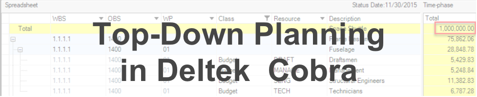 Top-Down Planning in Deltek Cobra
