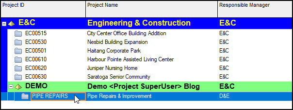 P6 Professional <Project Superuser> Privileges and How to Limit Them