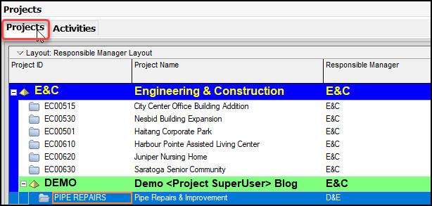 P6 Professional <Project Superuser> Privileges and How to Limit Them