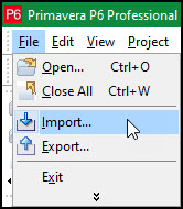 P6 File | Import